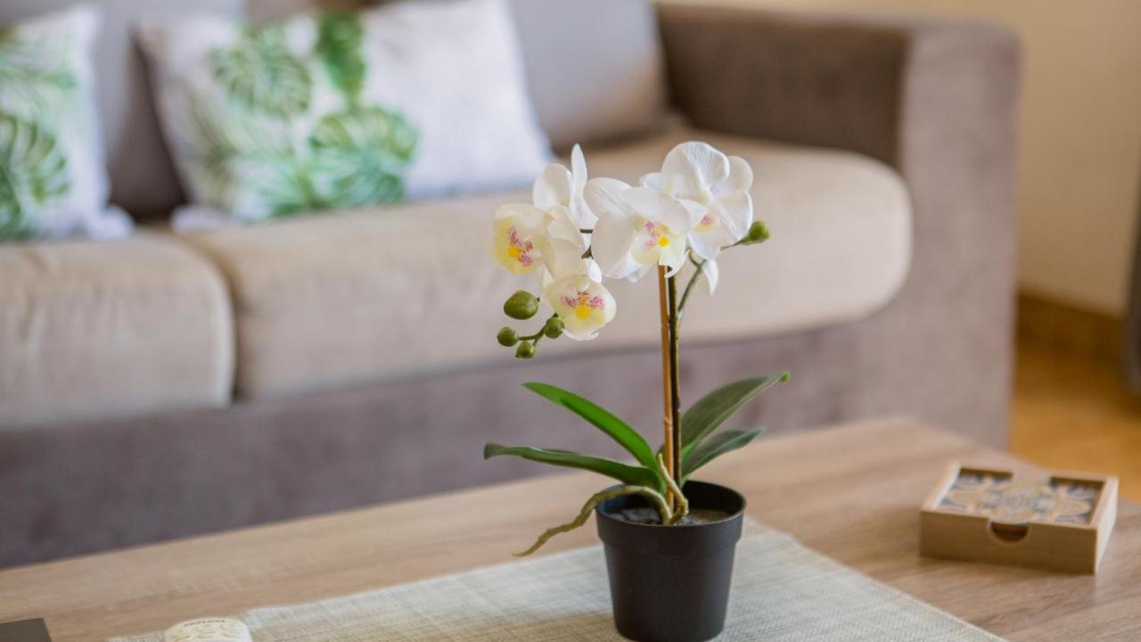 Apartamento T2 Na Praia Da Alagoa Altura Eksteriør bilde